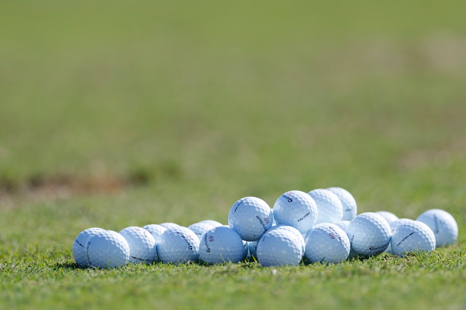 Golf tips, free bets and latest odds for the Hero World Challenge