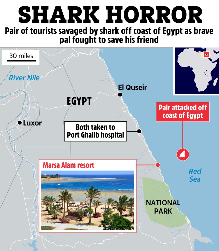 Map showing location of shark attack off coast of Egypt near Marsa Alam resort.