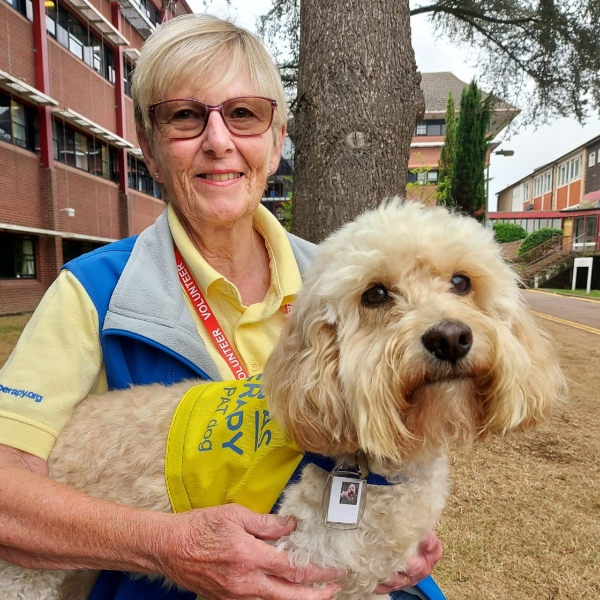 Cute Meg brings peace and happiness in her work as a therapy pet