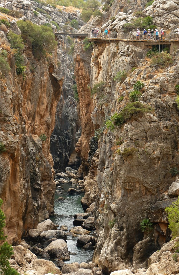 The walkway is built around a steep gorge