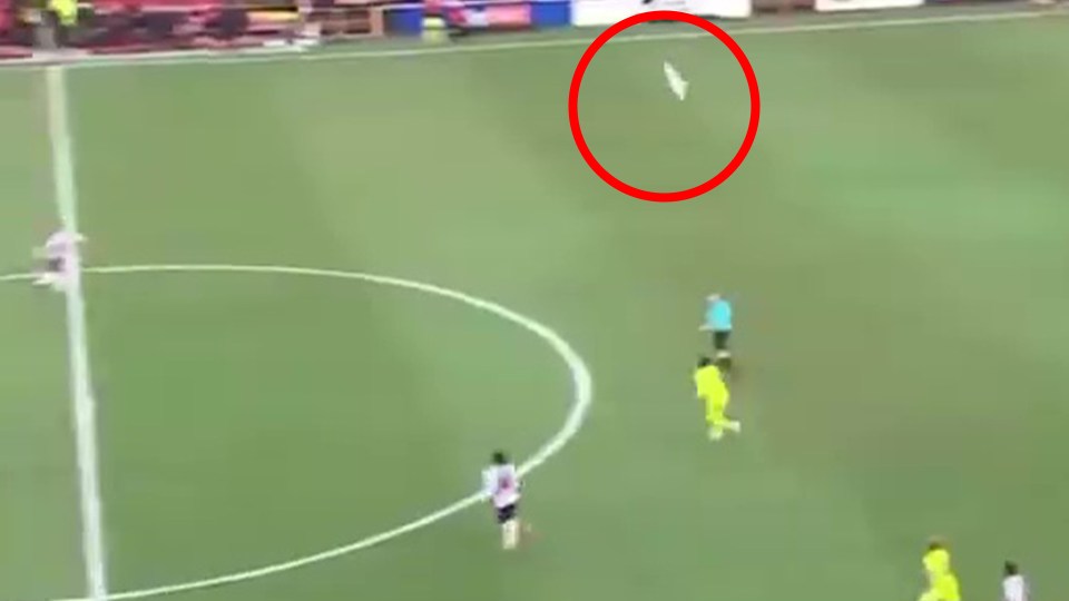 A seagull deflected the ball into the path of a Grimsby player