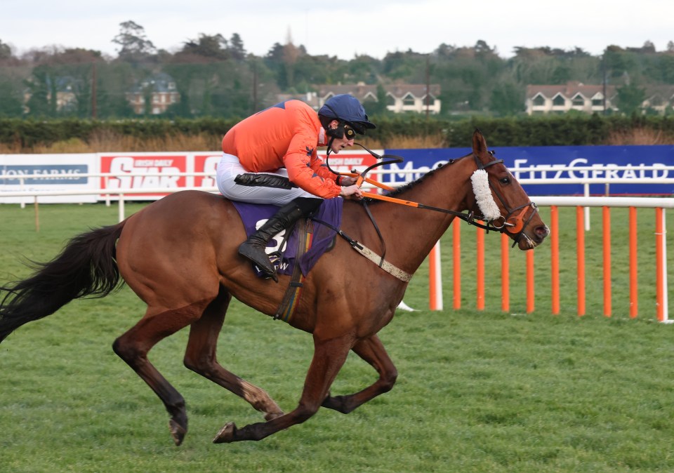 File photo dated 03/02/24 of Madara, who can turn around last month¿s Cheltenham form to win the Nyetimber December Gold Cup Handicap Chase. Issue date: Friday December 13, 2024. PA Photo. See PA story RACING Tips Saturday. Photo credit should read: Damien Eagers/PA Wire