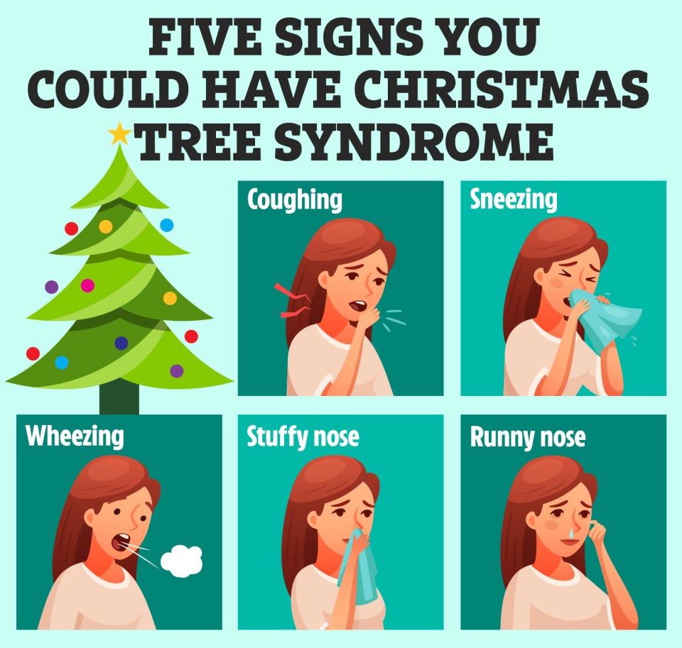 Five signs of Christmas tree syndrome: coughing, sneezing, wheezing, stuffy nose, runny nose.