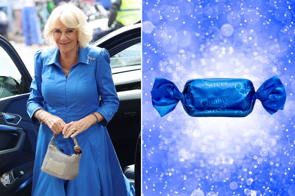 Queen Camilla looking regal in blue