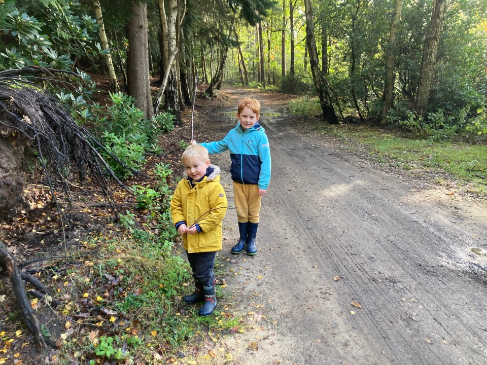 The woodland walks are a must for boisterous young ones