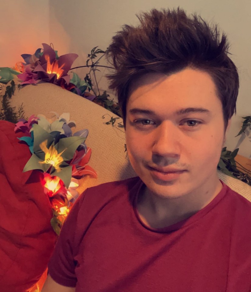 Portrait of a young man sitting on a couch with illuminated origami flowers.