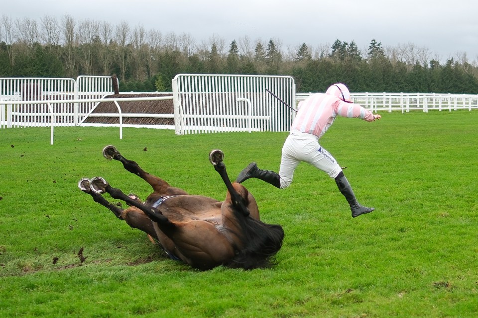 Jockey falling after horse falls at a race.