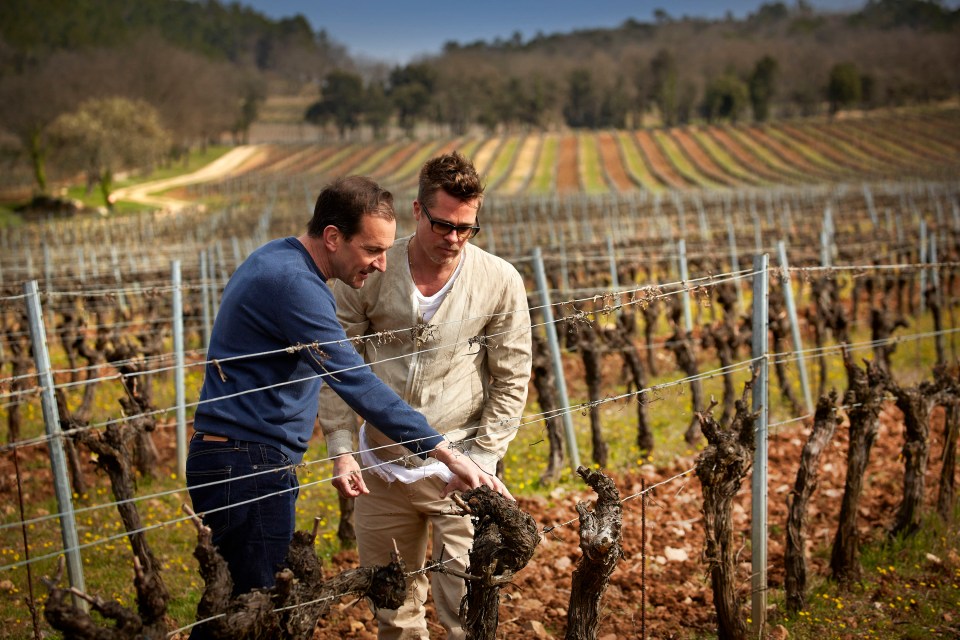 The divorced couple remain locked in a legal battle over Château Miraval vineyard in France