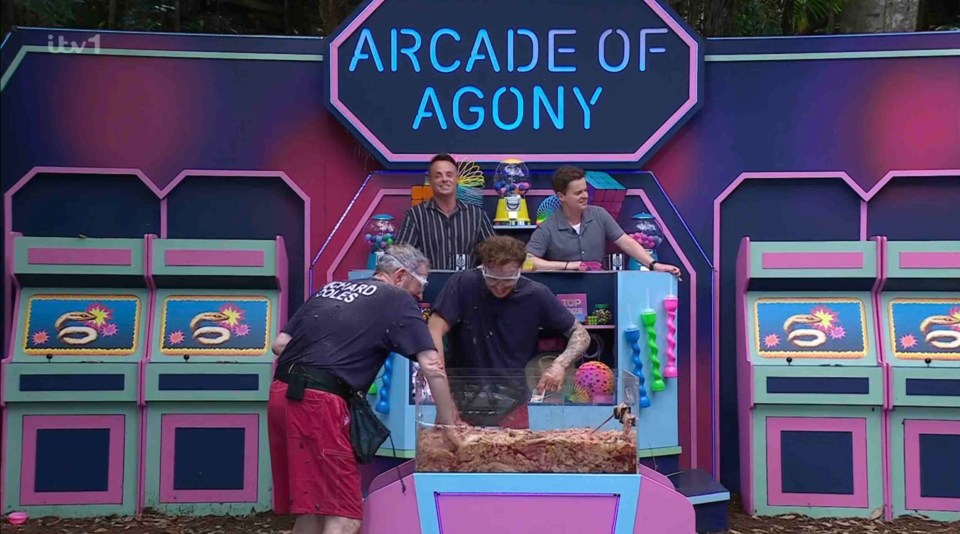 Divided into groups, the celebs all tackled Arcade of Agony -  but with slight differences