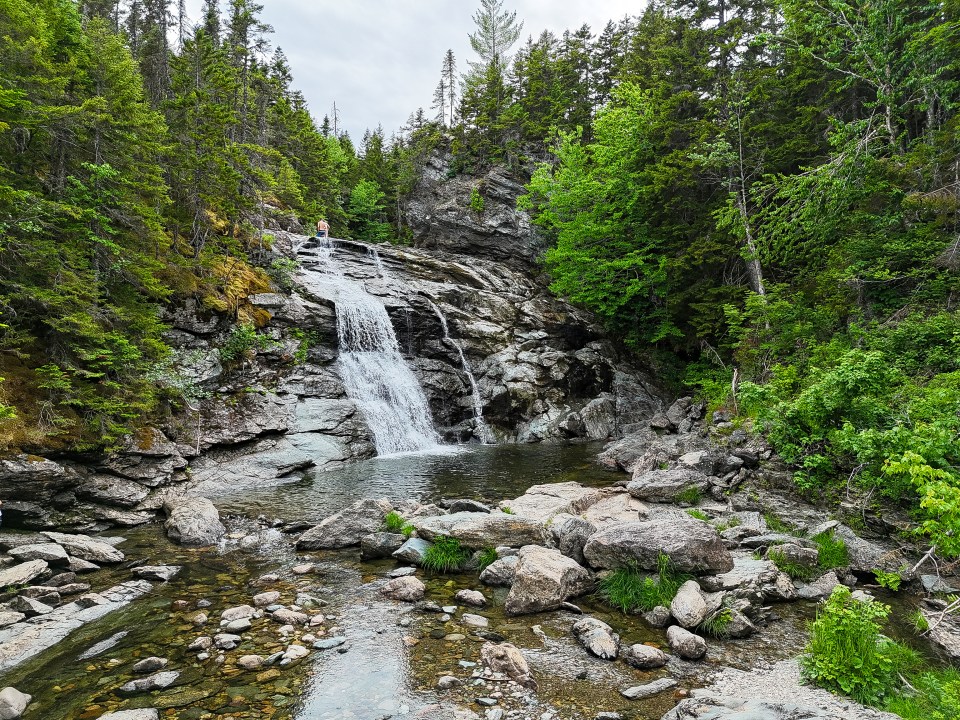 Our days here are filled with idyllic walks through the trees, often ending in swims at river rapids or waterfalls