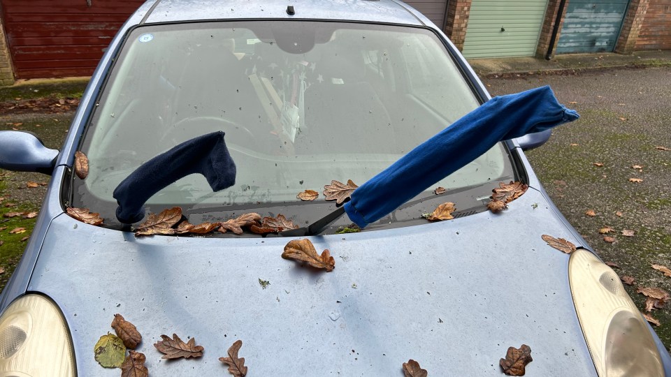 Her trusty tuber isn’t just good for stews; it helps keep my windshield fog-free