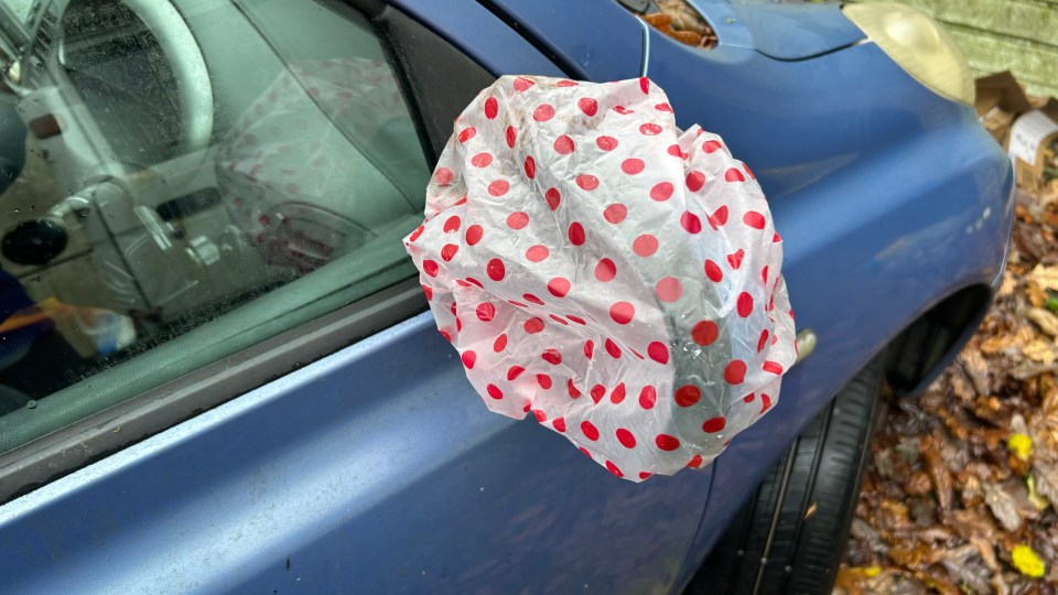 She uses shower caps to cover her side windows to stop the wing mirrors from fogging up and icing over