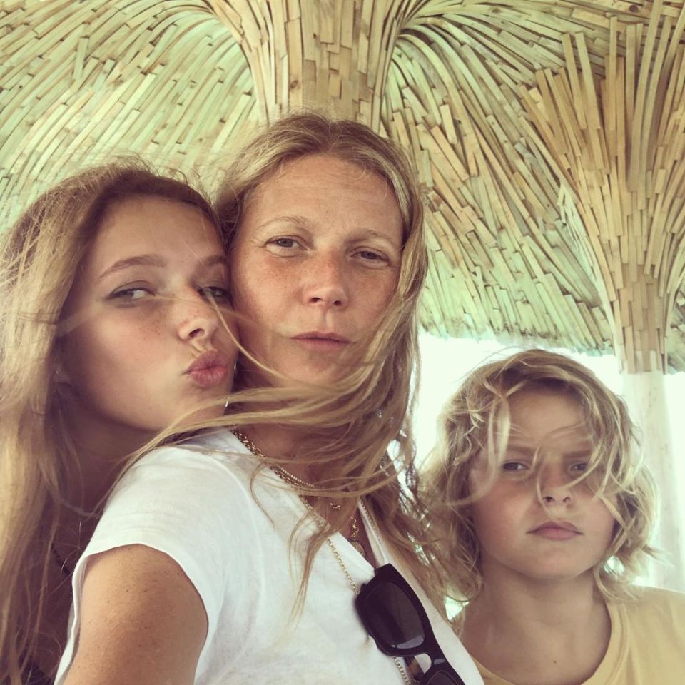 Gwyneth Paltrow took a break from acting to embrace motherhood and spend time with her daughter Apple and son Moses