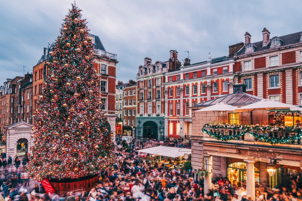 Large Christmas tree in Covent Garden at night, surrounded by people.