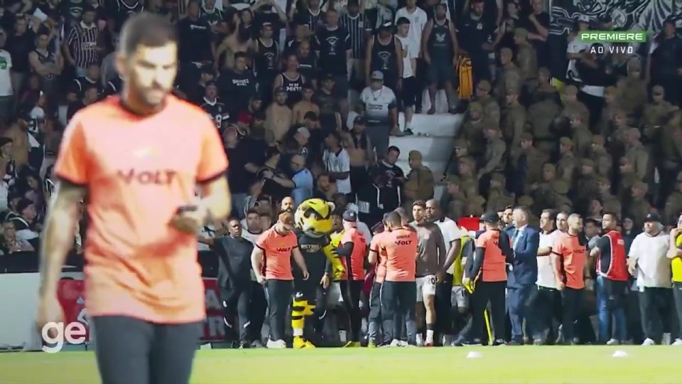 Criciuma’s tiger mascot wound up Corinthians players as they tried to calm down fan trouble at half-time