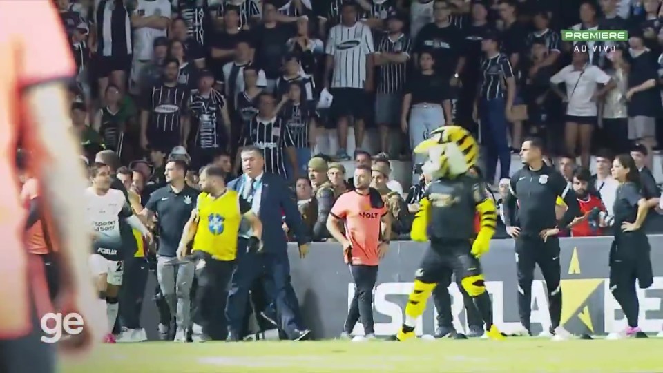 A club mascot caused chaos in a top flight Brazilian game yesterday