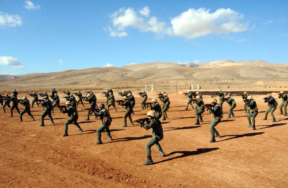 Security forces loyal to Syria’s President Bashar al-Assad are seen during a field exercise at an undisclosed location in 2013