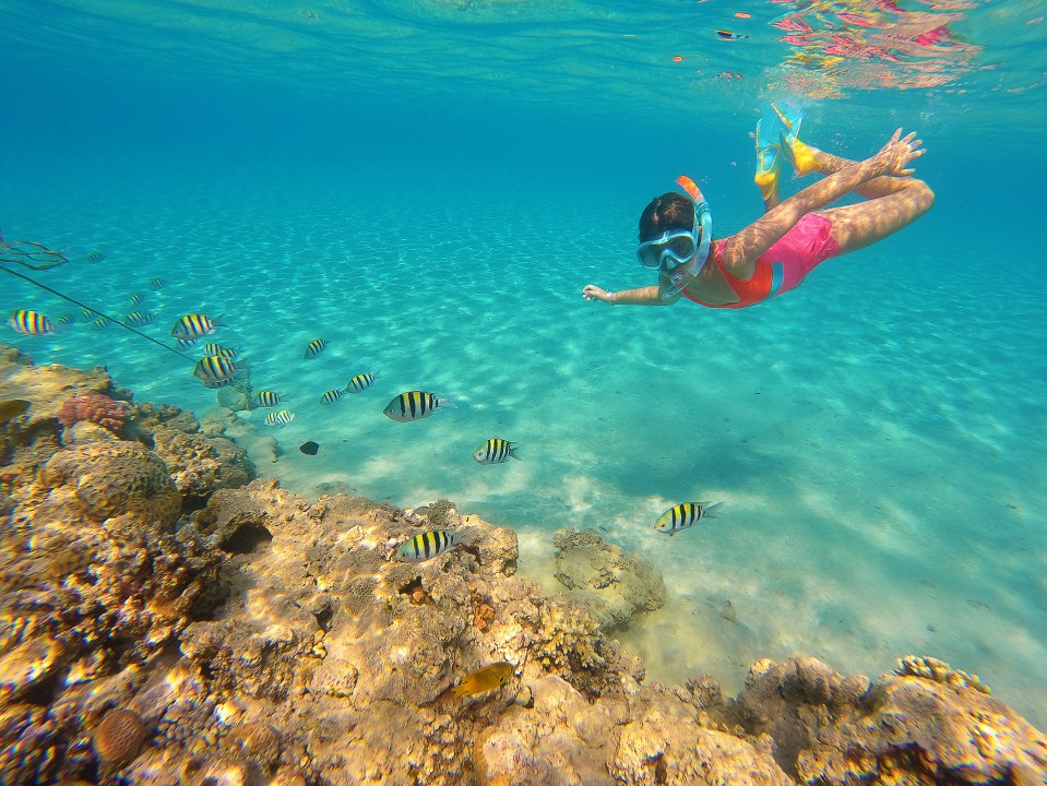 Holiday makers can take a dip in Egypt's Red Sea