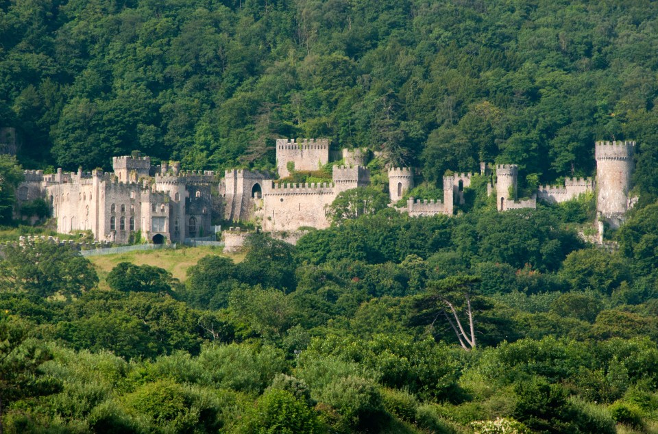 Gwrych Castle ruins nestled in a lush green forest.