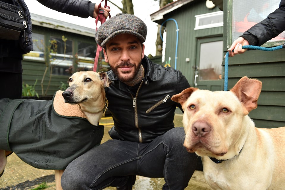 Pete's new show Pete Wicks: For Dogs’ Sake is a passion project for the star