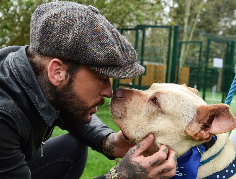 Pete has two rescue dogs of his own