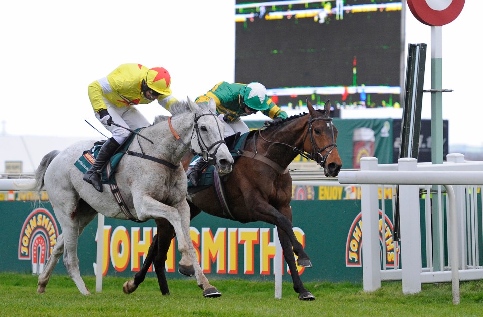 Jacob red Neptune Collonges to Grand National glory 12 years ago