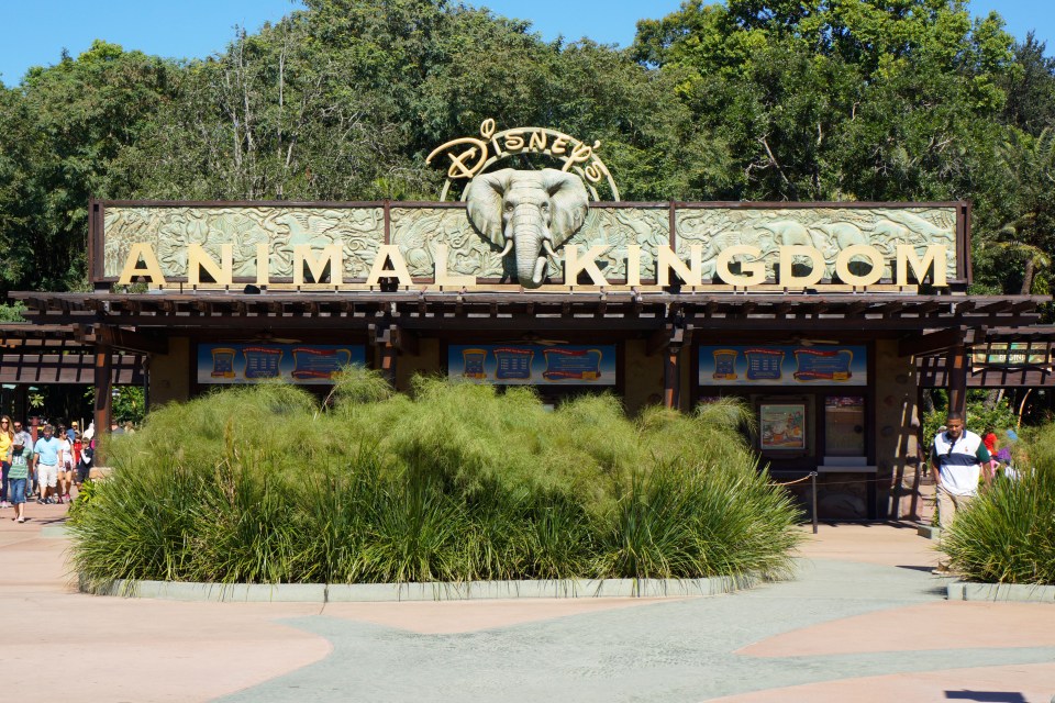 Disney experts have revealed their top tips - including why you should head to Animal Kingdom first