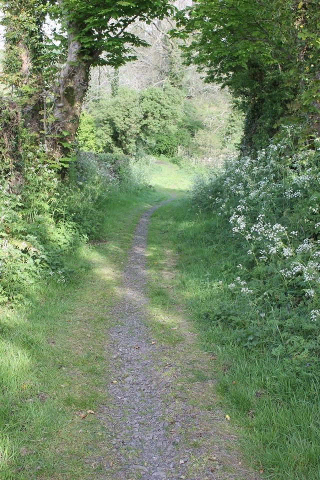 The infant was found on the Dulk Walk, in Carryduff, Northern Ireland