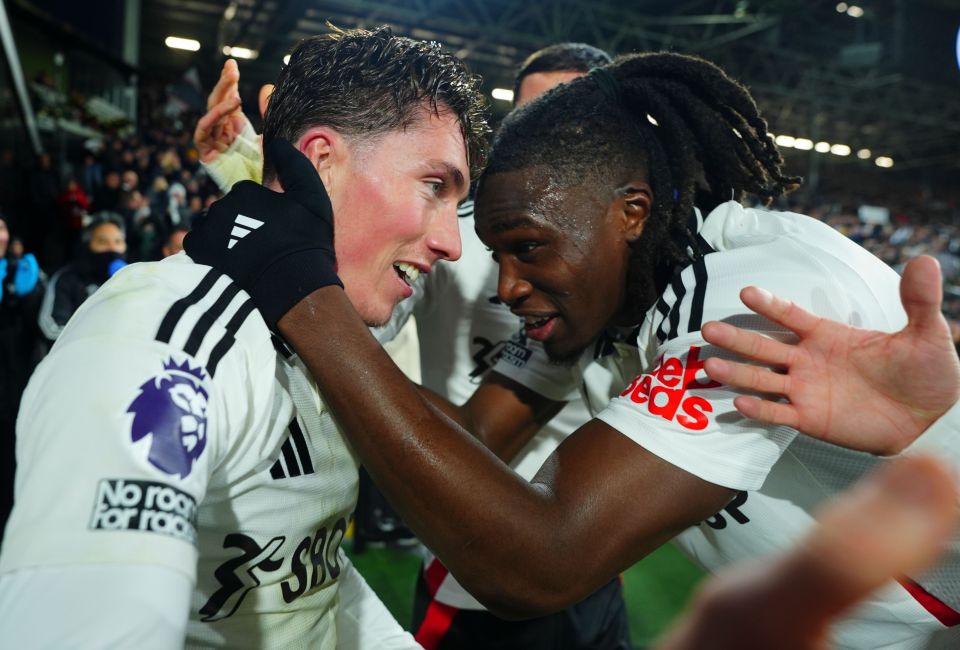 Harry Wilson thought he sealed the three points for Fulham