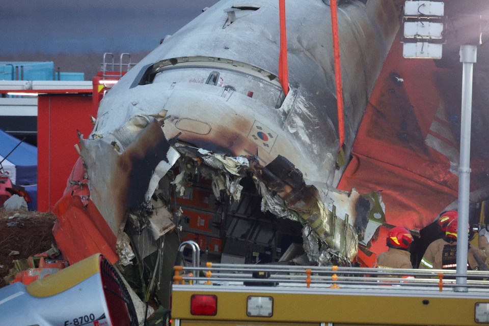 The plane was ripped apart in the crash