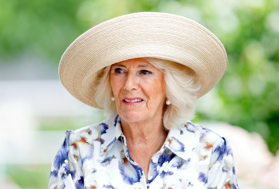 Camilla has been forced to pull out of another engagement due to illness