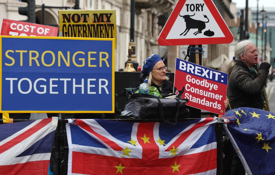 Pro-EU protestors outside Parliament in London, holding signs against Brexit.