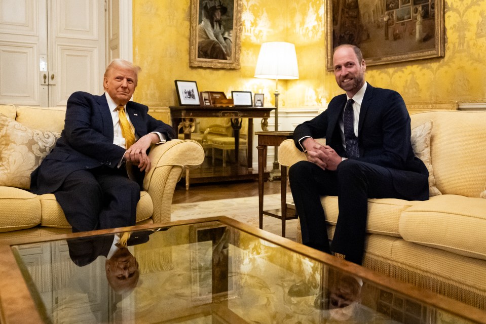 William and Trump had a 'good talk'