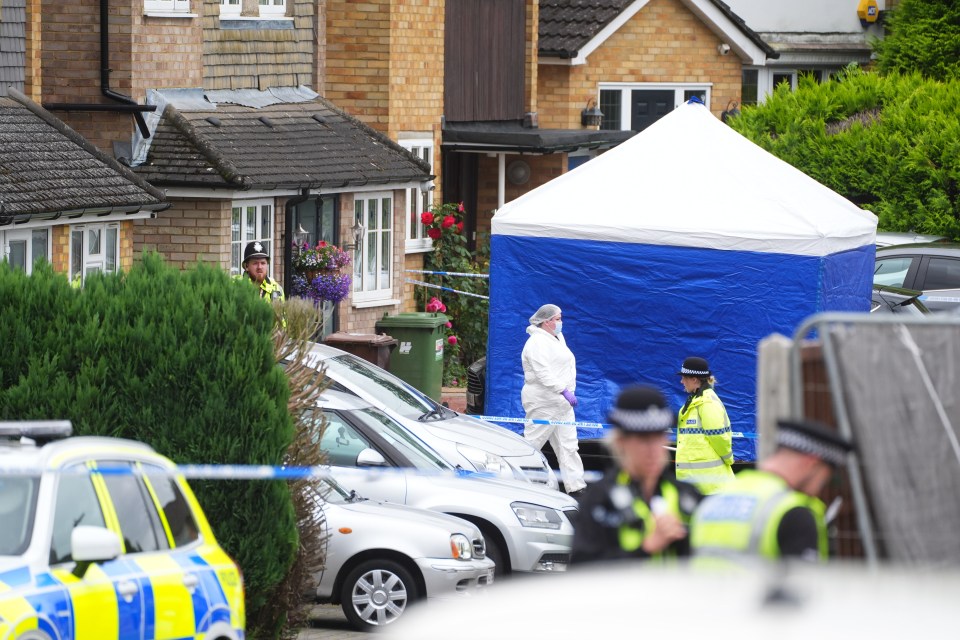 The bodies were discovered in Bushey in July