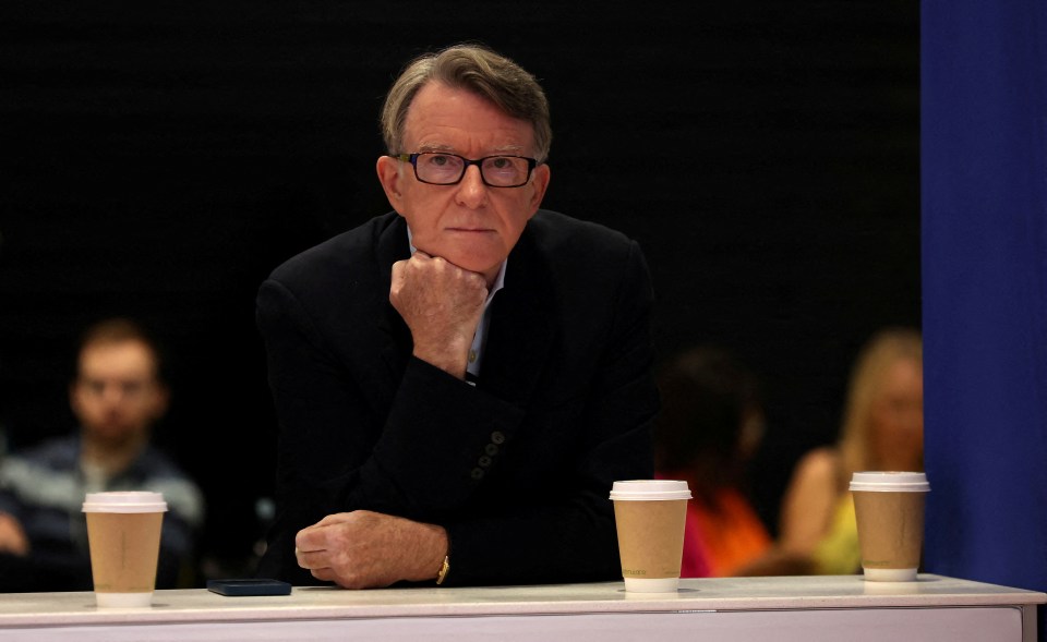 Peter Mandelson, former Labour Party MP and government minister, at a Labour Party conference.