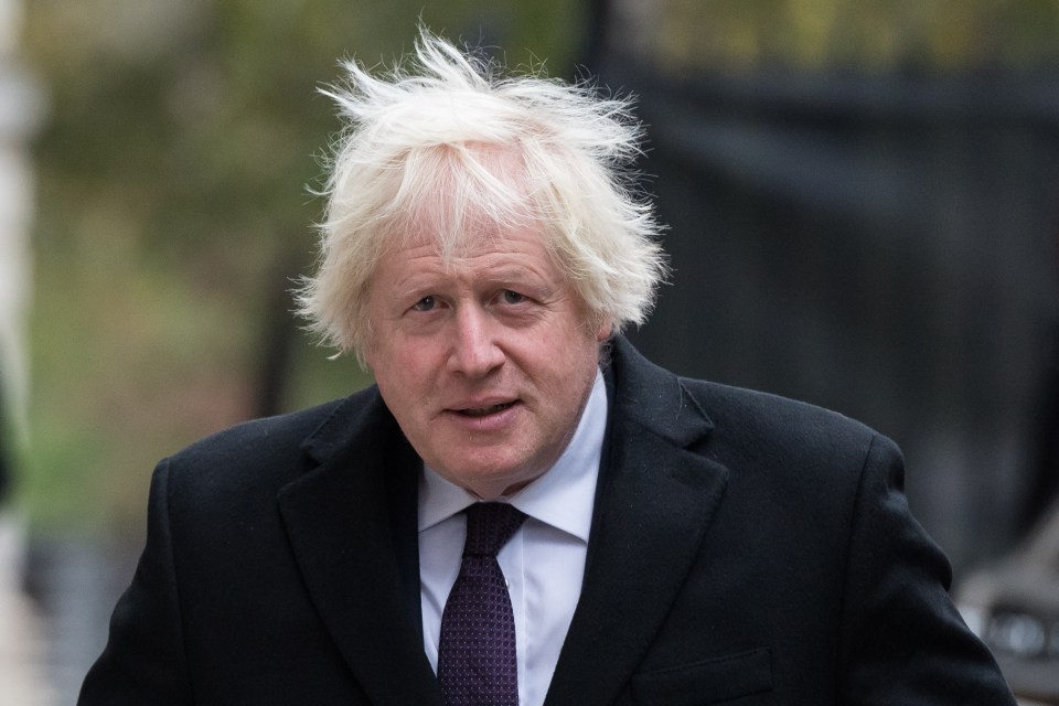 Ex-PM Boris Johnson said: 'It would be a huge mistake to drift back into the orbit of Brussels and sacrifice our economic independence'