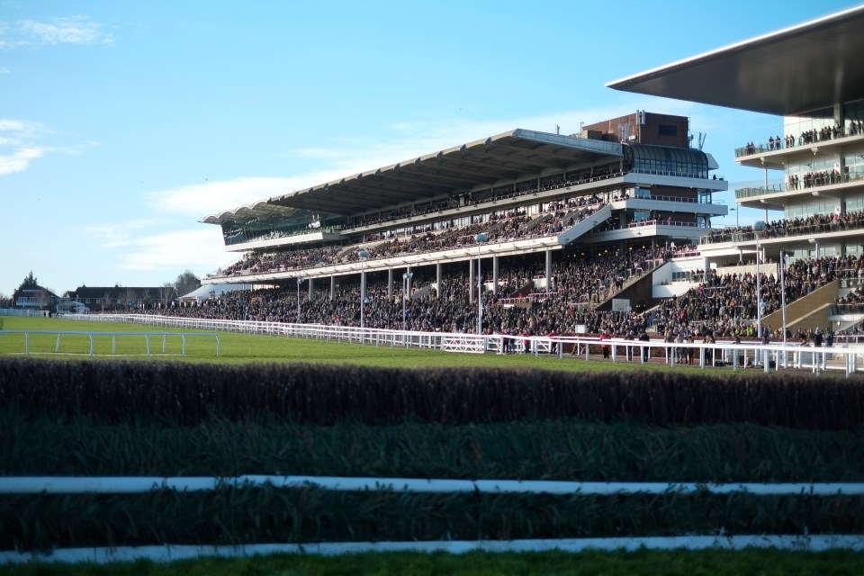 Cheltenham's New Year's Day meeting has got the go-ahead