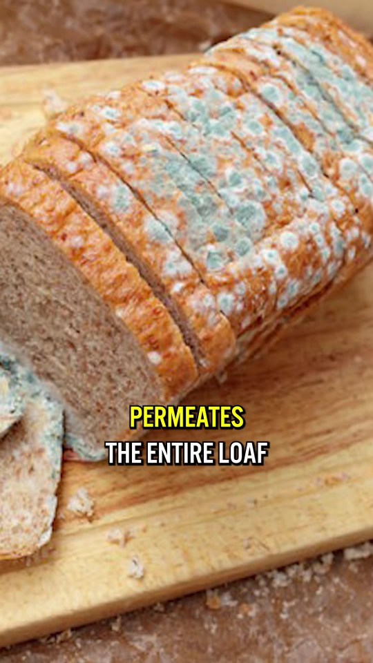 The expert explained that once you notice visible mould on your crusts, the fungus has already permeated the entire loaf