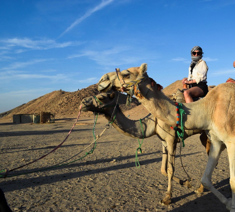 You can enjoy a magical camel ride in  the desert