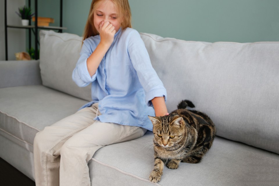 Sean helps a reader with a cat who keeps farting during dinner