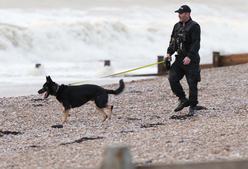 Dog units have been seen on the beach