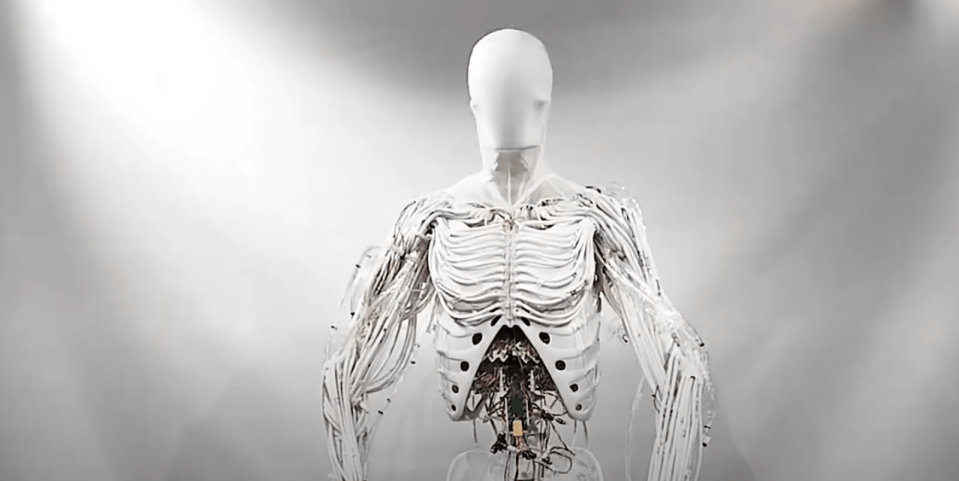 The robot, called Clone Alpha, is described as a "musculoskeletal android"