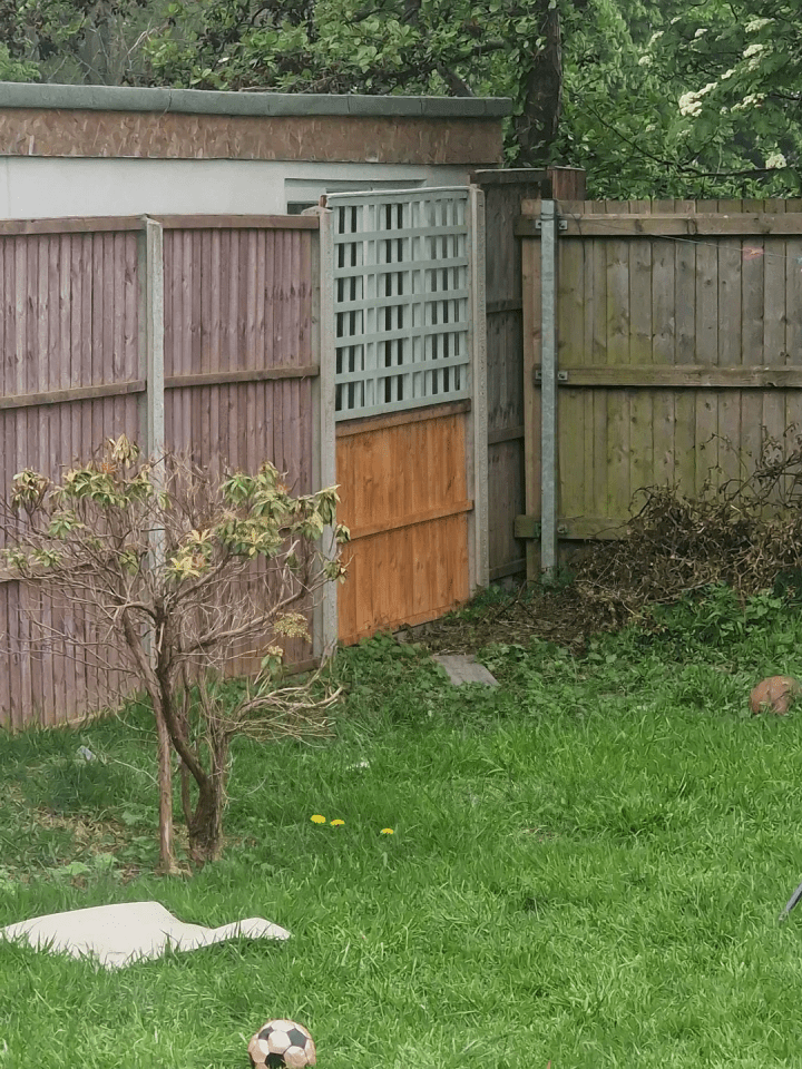 Neighbor's new fence and outhouse impacting privacy.