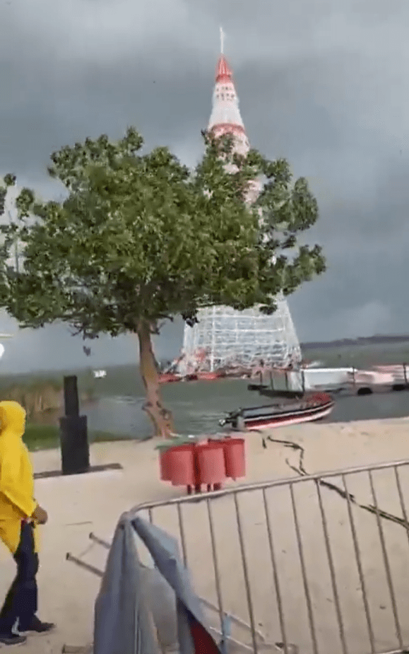 Onlookers watched on in horror at the tree collapse