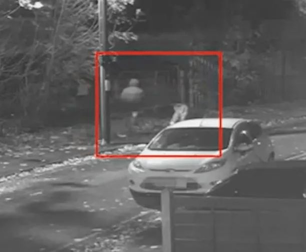 Nighttime security camera image of a person near a car.