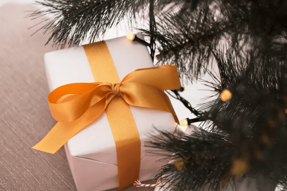 A home security expert advised against placing your presents under your tree too early (stock image)