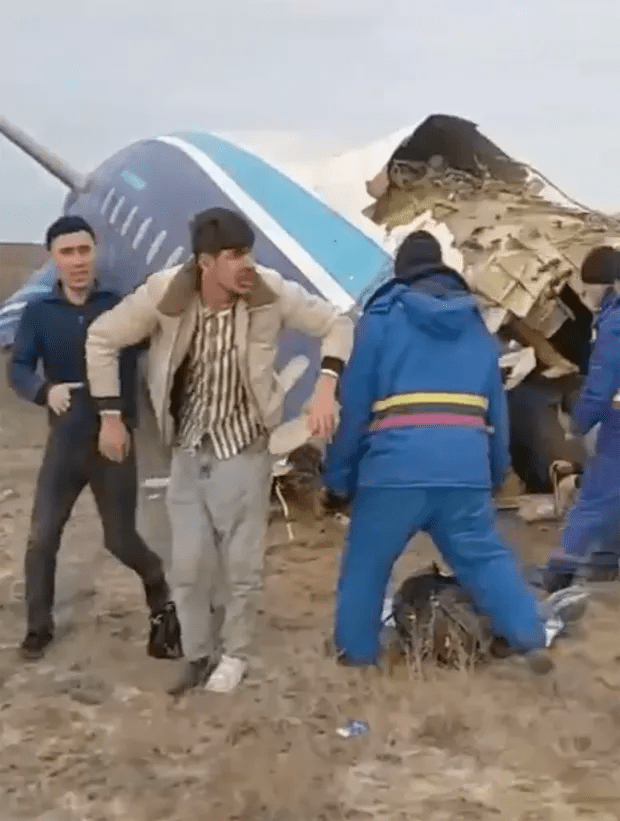 People standing near a crashed airplane.