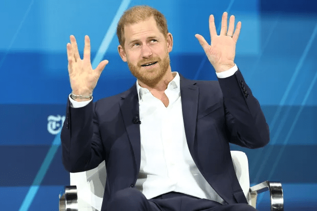 Prince Harry was at the New York Times annual DealBook Summit