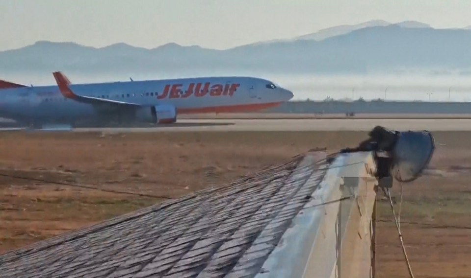 The pilot on the South Korean plane crash completed a 'beautiful' landing as the jet slide on its belly across the runway