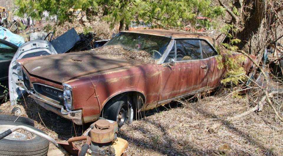 A GTO in the yard